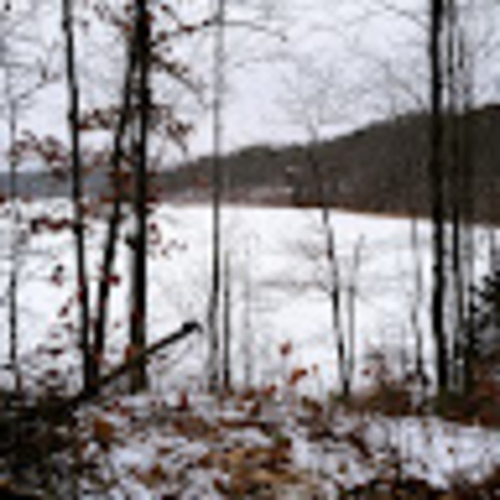 Meet your Posher, Rockefeller